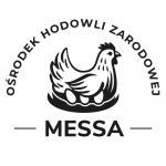 Messa