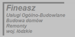 fineasz