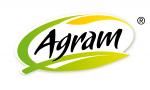 logo NOWE